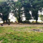 comment trouver un terrain pour installer une tiny house