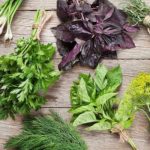 plantes et herbes aromatiques à faire pousser chez soi