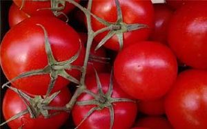 congélation tomate